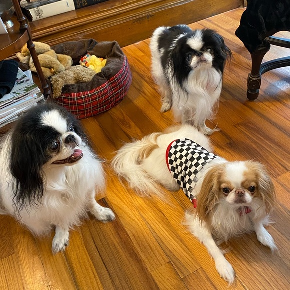 Meet your Posher, Tricia - Picture 10 of 10